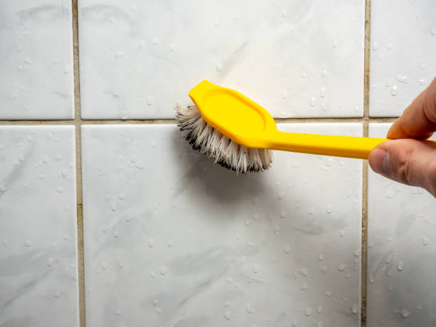 Best Affordable Mold Removal  in Charlotte Harbor, FL