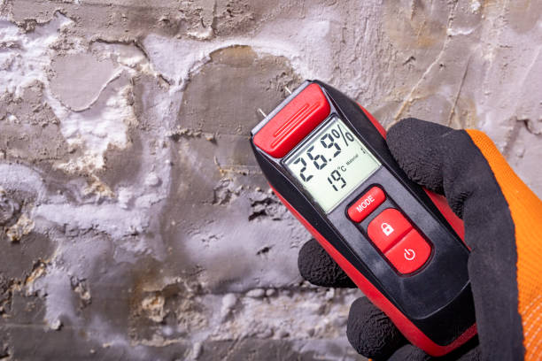 Best Local Mold Removal Service  in Charlotte Harbor, FL